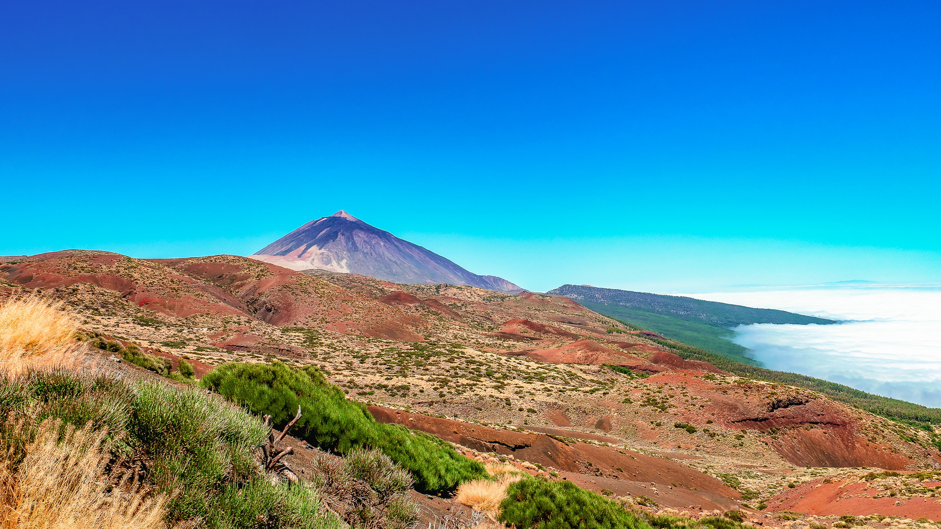 Pico del Teide | Tenerife