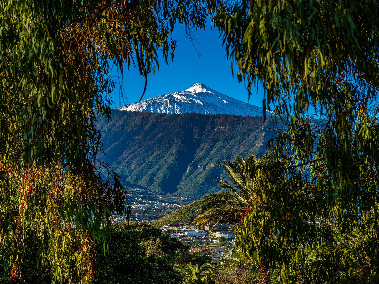 Pico del Teide, Teneriffa