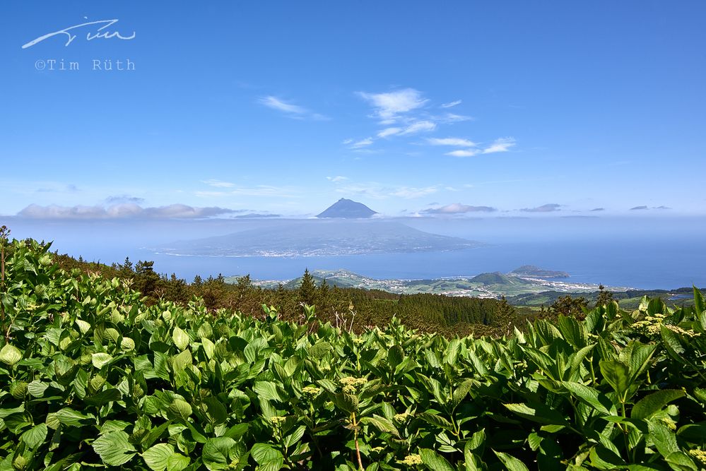 Pico (desde Faial)