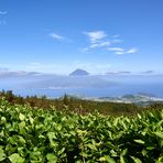 Pico (desde Faial)