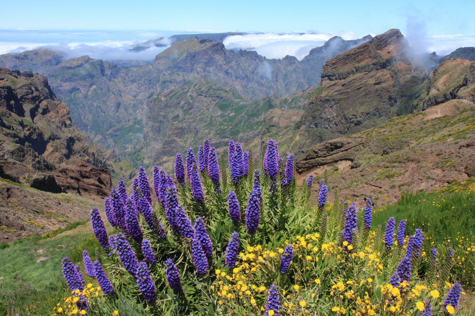 Pico do Arieiro