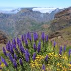 Pico do Arieiro