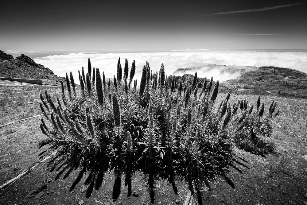 Pico do Arieiro 9