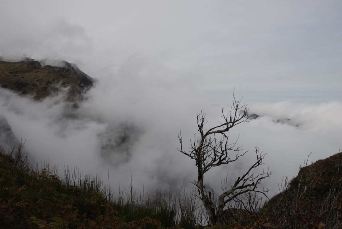 Pico do Arieiro - Madeira