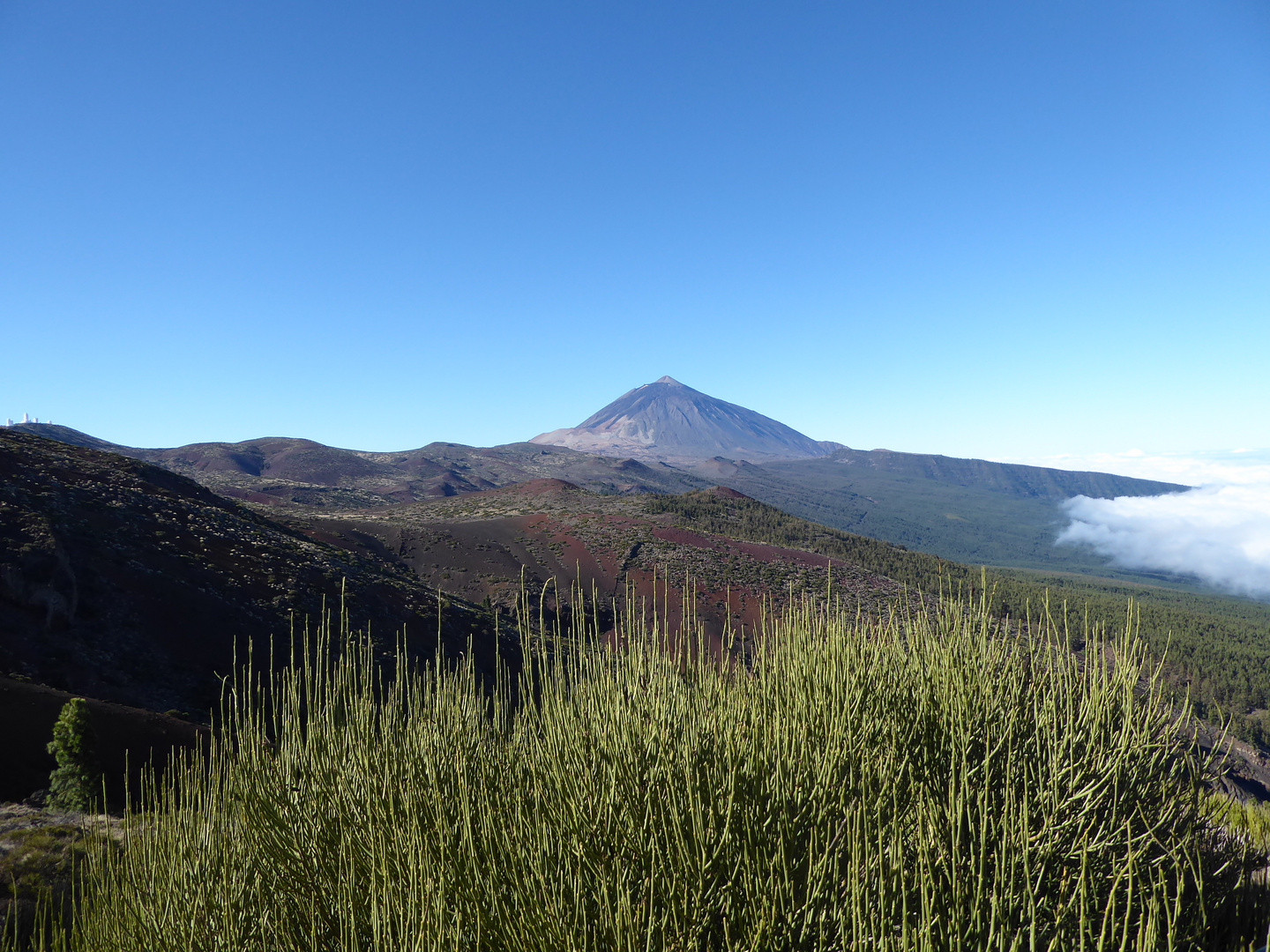 Pico el Teide