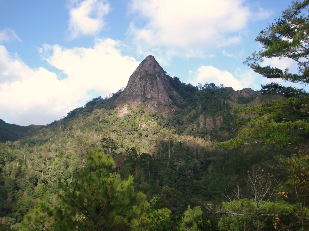 pico guevea humbolt