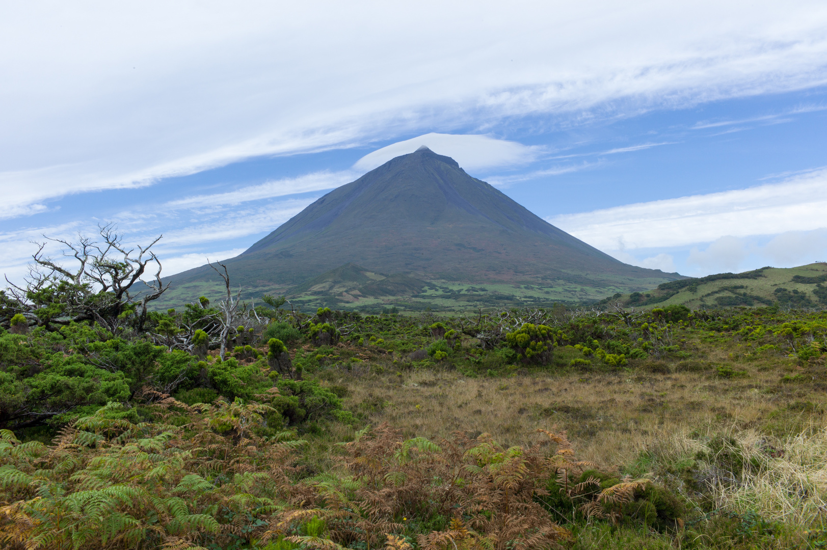 Pico mit Mütze