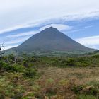 Pico mit Mütze