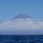 Pico schaut aus den Wolken