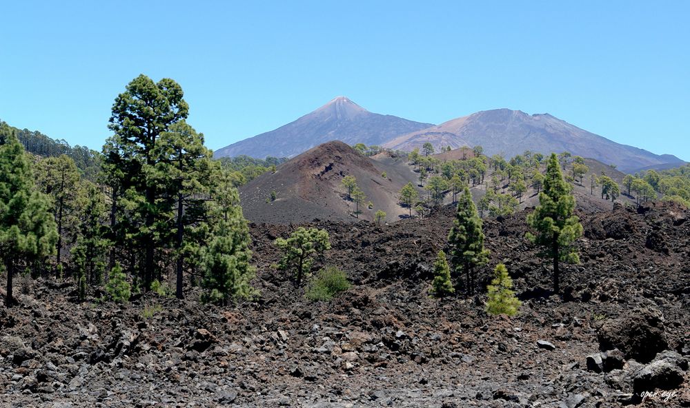 _ Pico Viejo _ Teide _