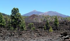 _ Pico Viejo _ Teide _