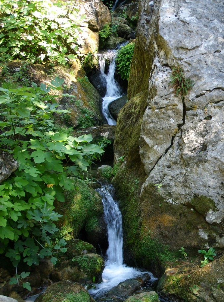 Picoole cascate nel bosco