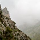 Picos de Europa