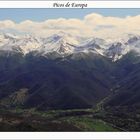 Picos de Europa