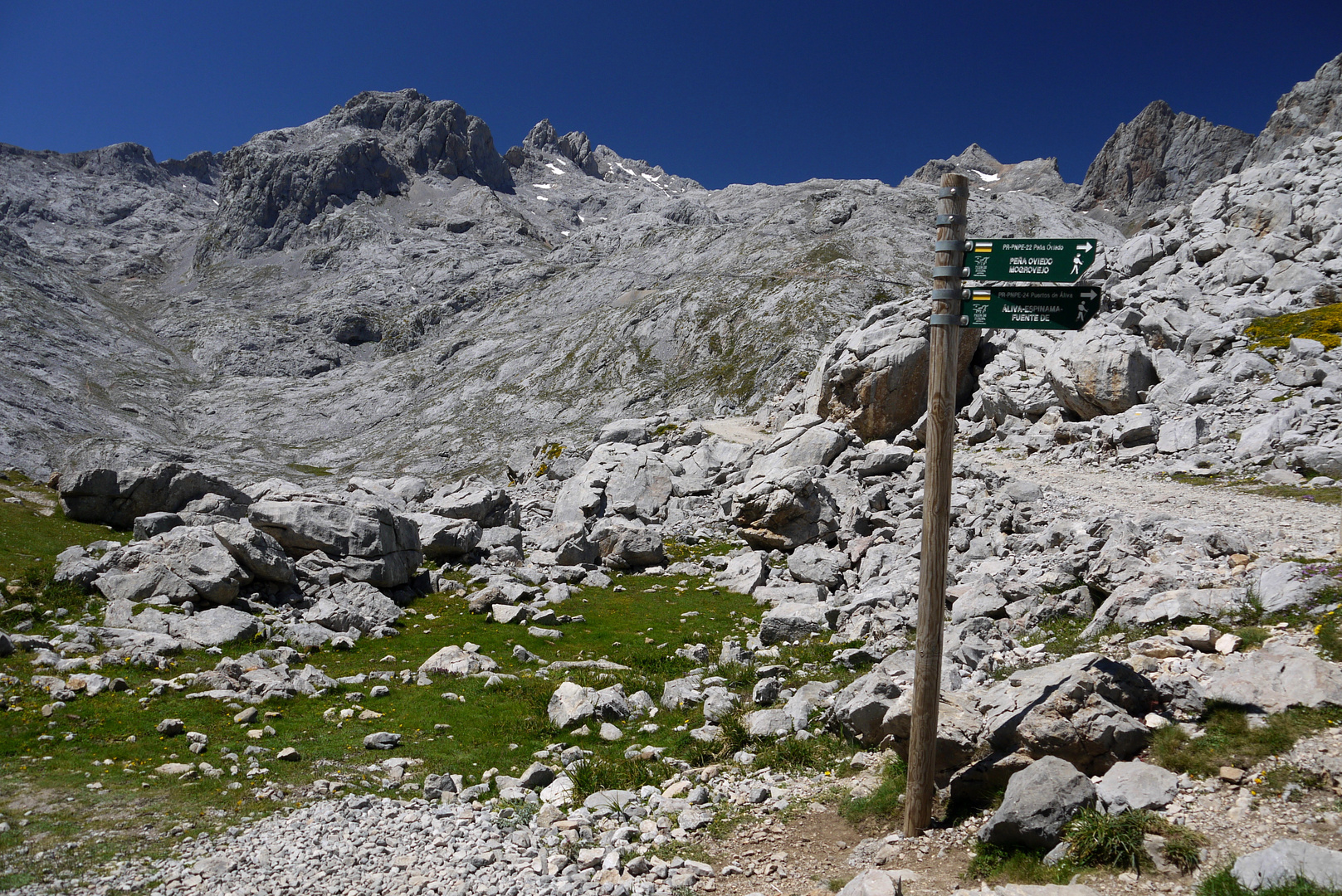 Picos de Europa