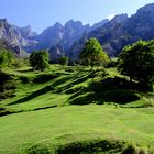 Picos de Europa 2