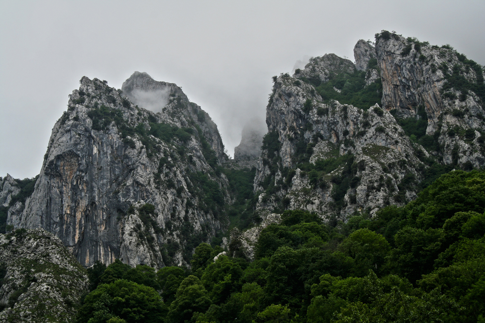 Picos de Europa - 2017 (2)