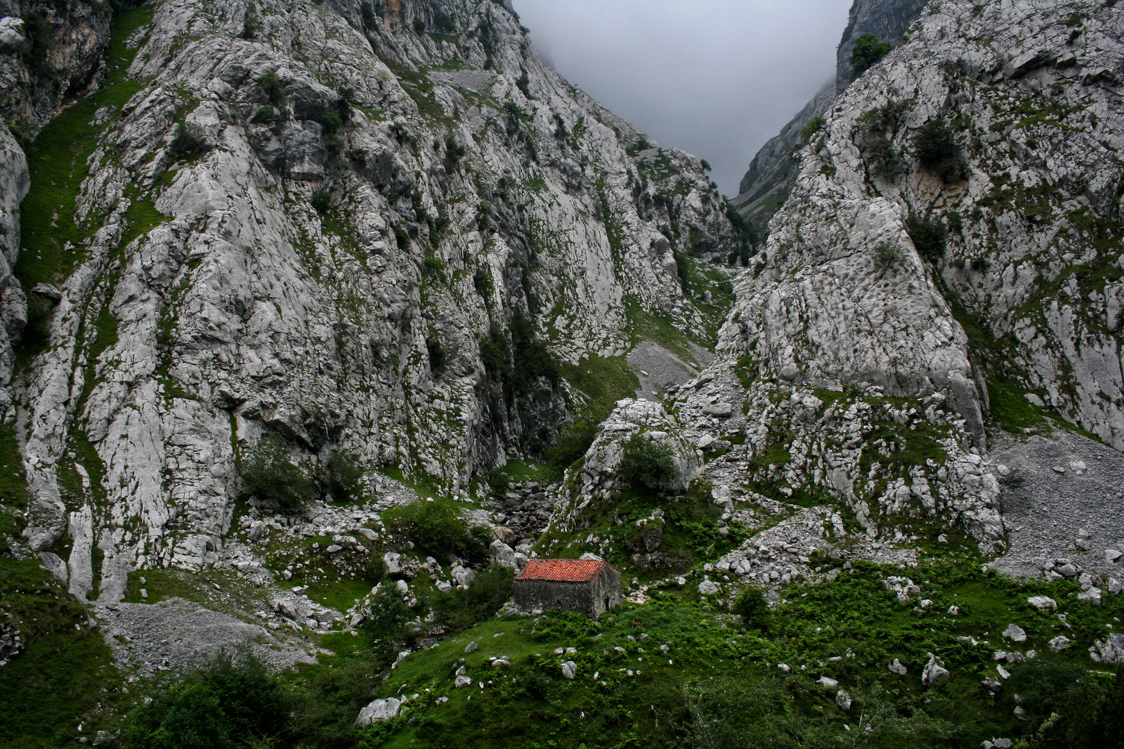 Picos de Europa - 2017 (3)