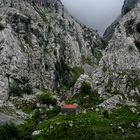 Picos de Europa - 2017 (3)