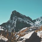 Picos de Europa