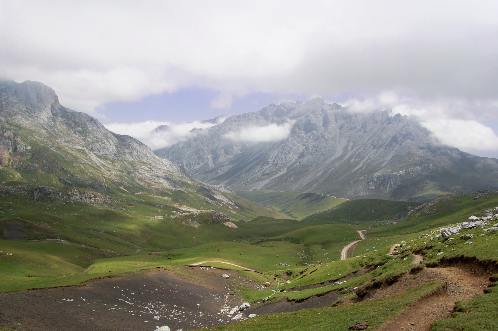 Picos de Europa