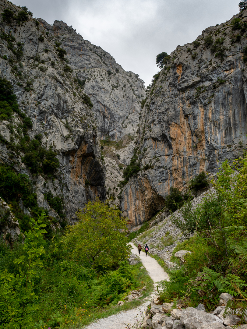 Picos de Europa