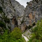 Picos de Europa