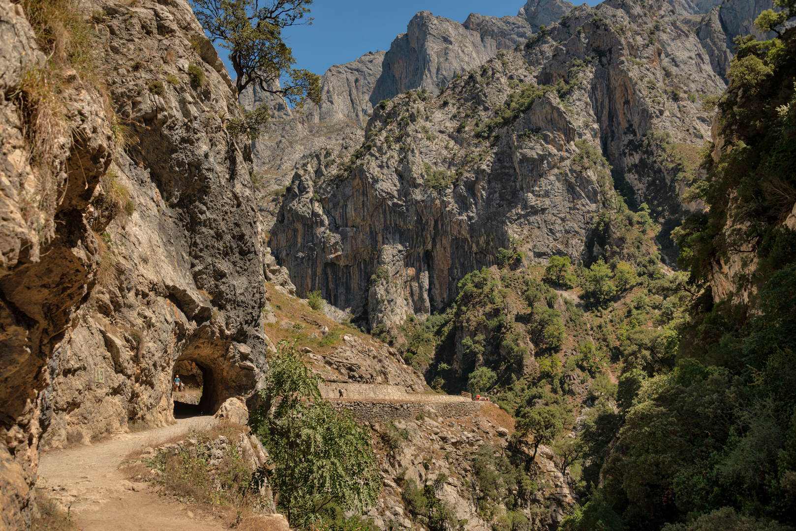 Picos de Europa