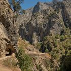 Picos de Europa