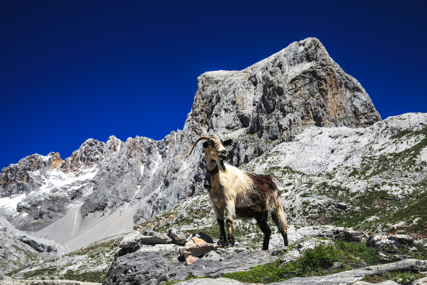 Picos de Europa 9