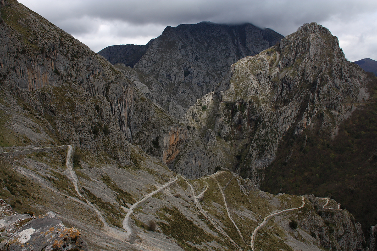 Picos de Europa