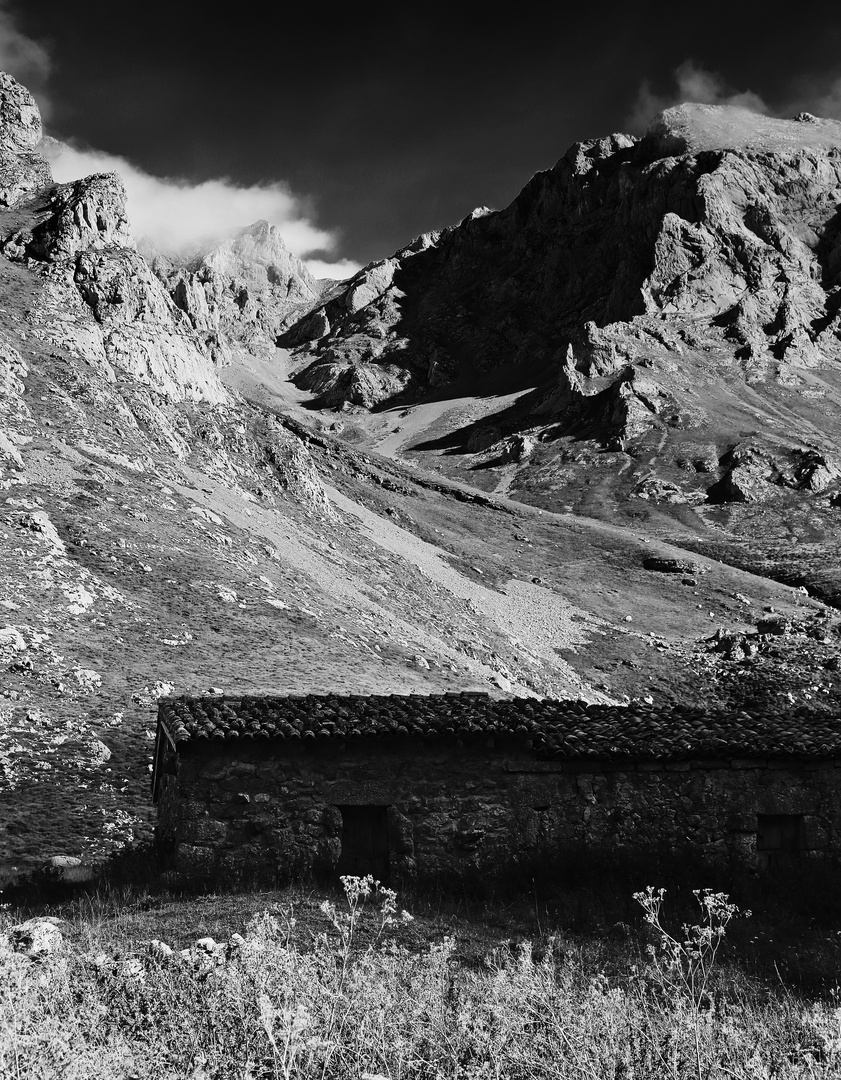 Picos de Europa