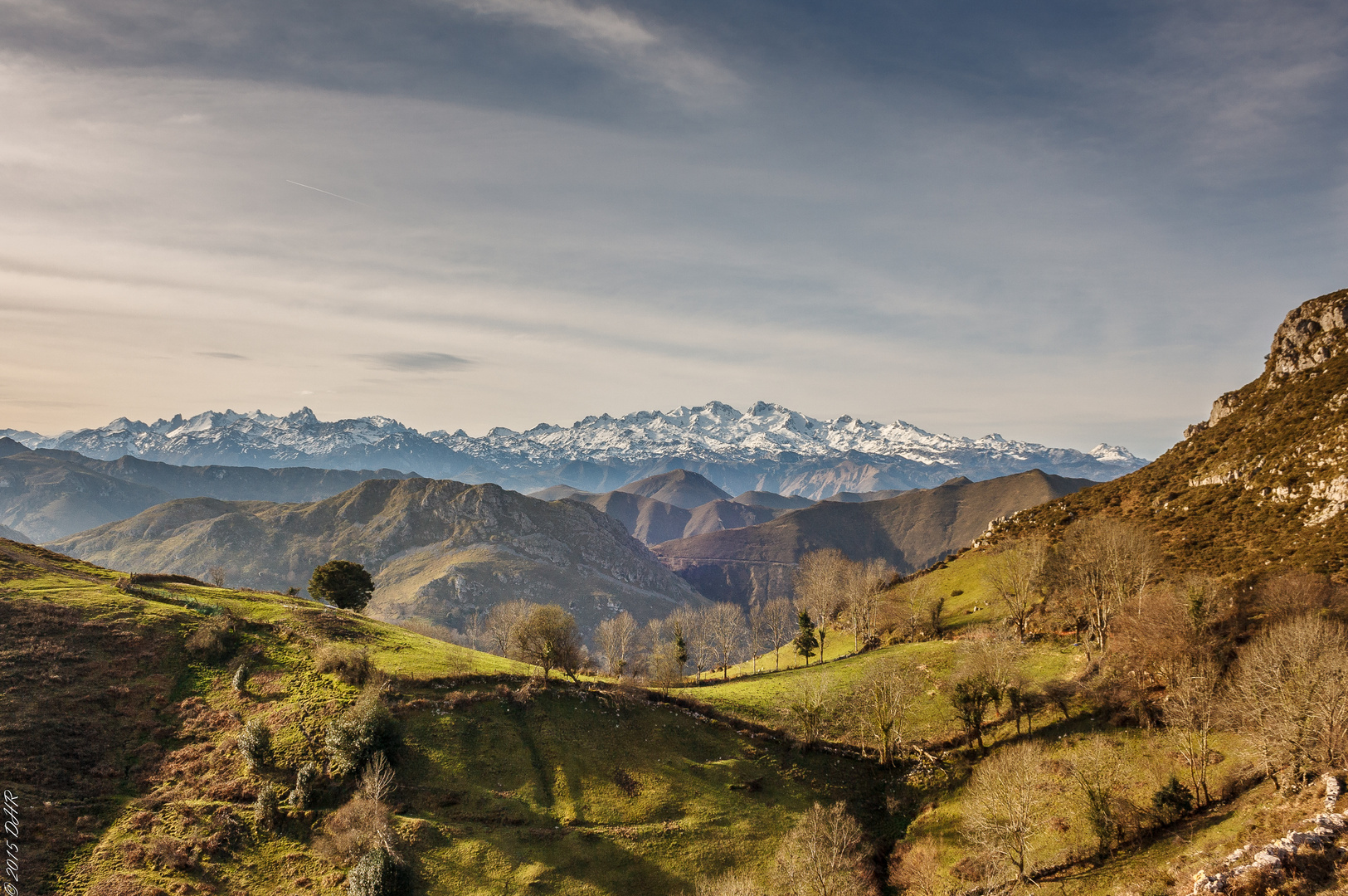 Picos de Europa al fondo