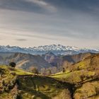 Picos de Europa al fondo