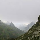 Picos de Europa. Asturias