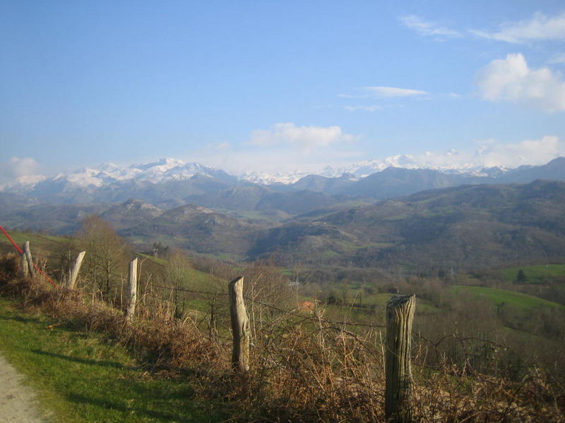 Picos de Europa