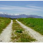 Picos de Europa (Camino del Norte, 4)