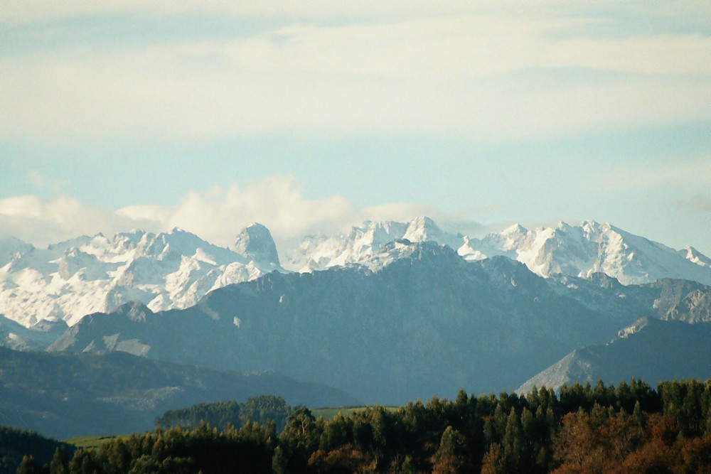 Picos de Europa