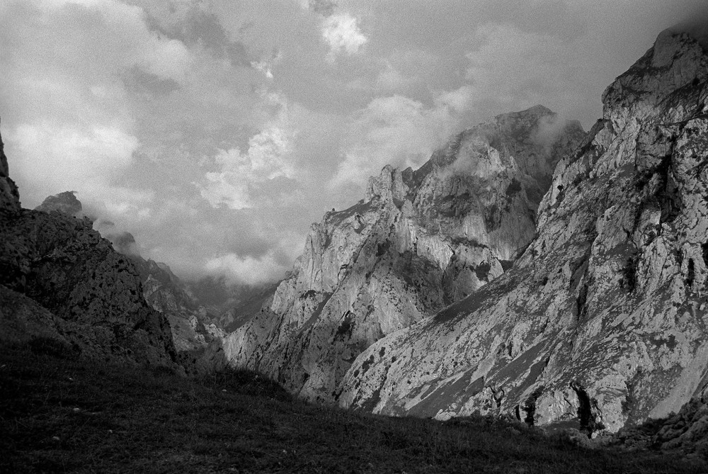 Picos de Europa