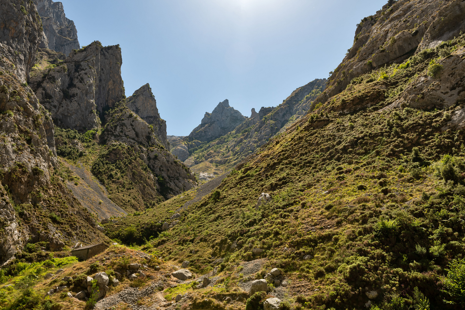 Picos de Europa