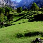 Picos de Europa