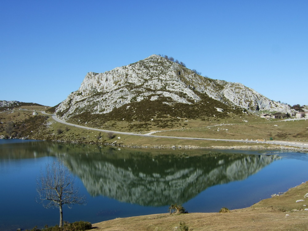 Picos de Europa