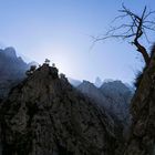 picos de europa