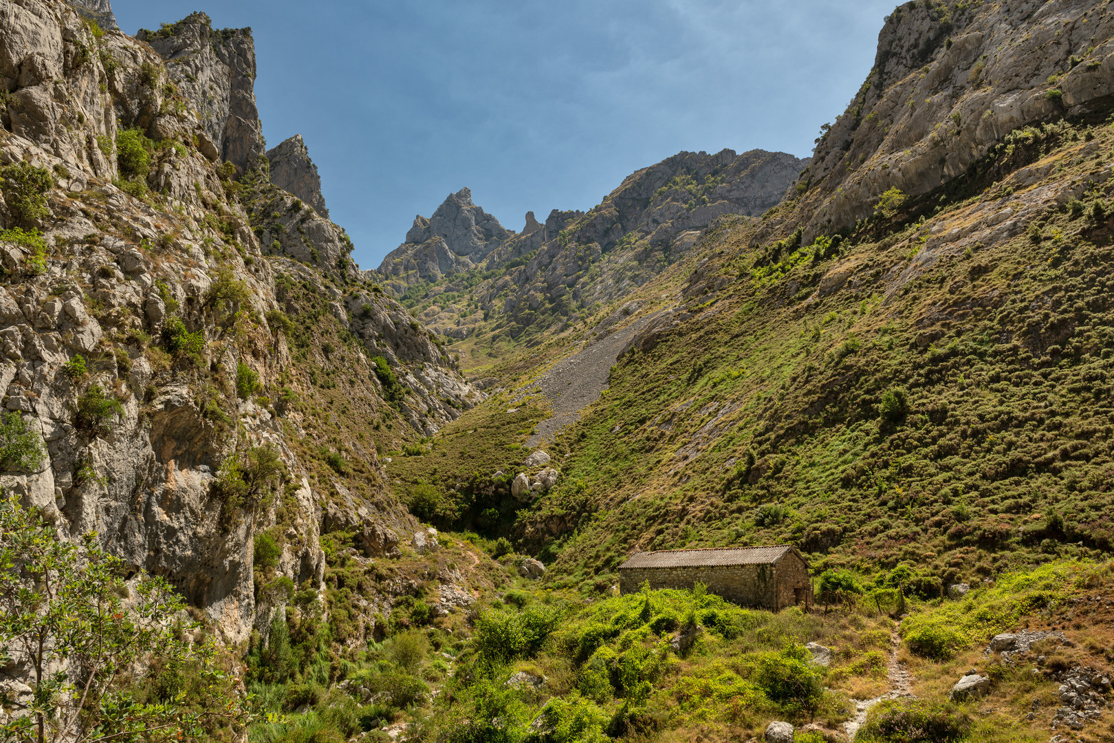 Picos de Europa II