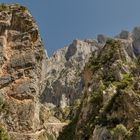 Picos de Europa III