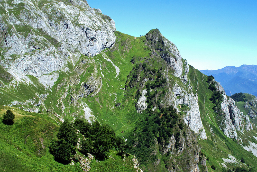 Picos de Europa verdes