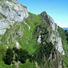 Picos de Europa verdes