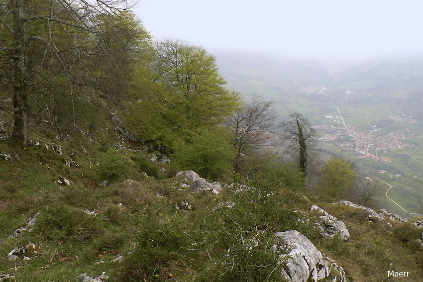 Picos de Europa y Cabrales en la niebla.