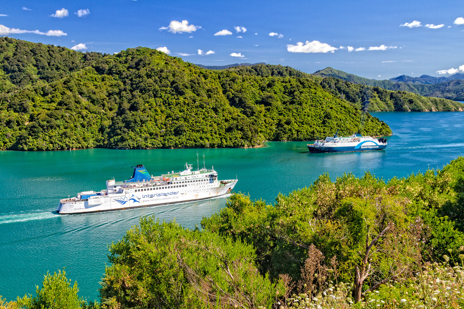 Picton Ferries