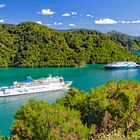 Picton Ferries